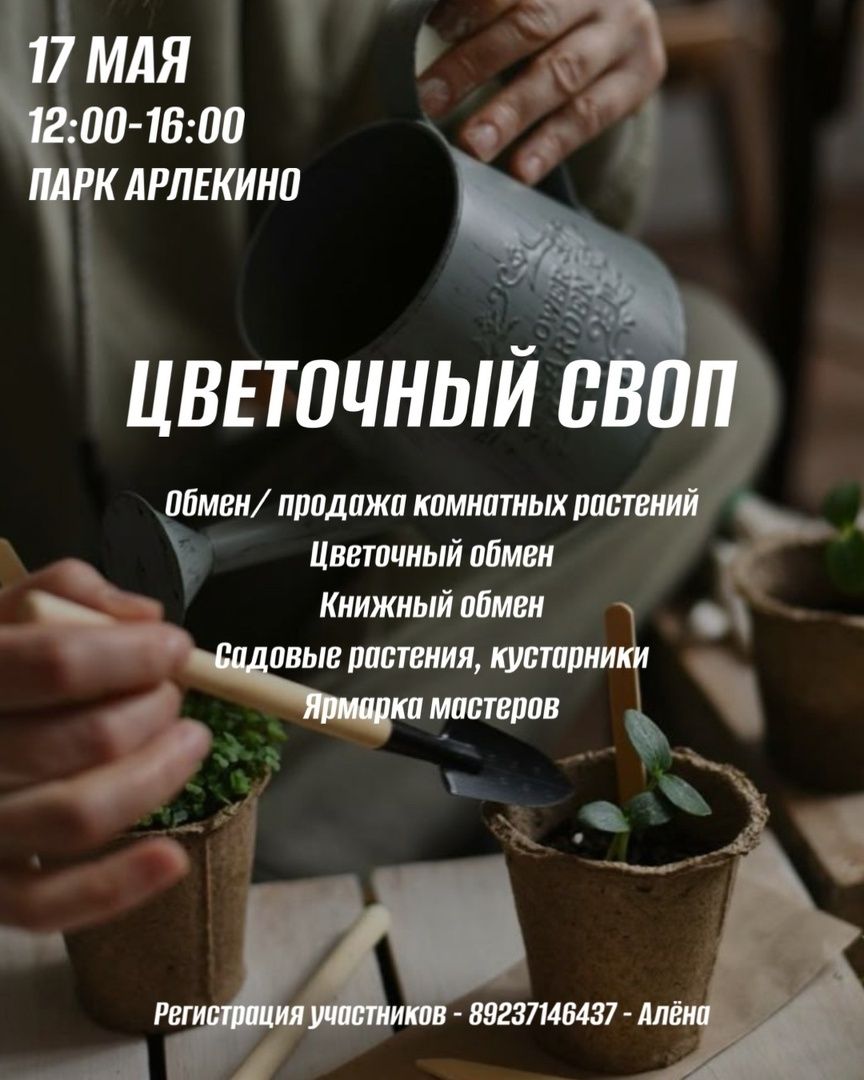 s93usdzsrcq.jpg