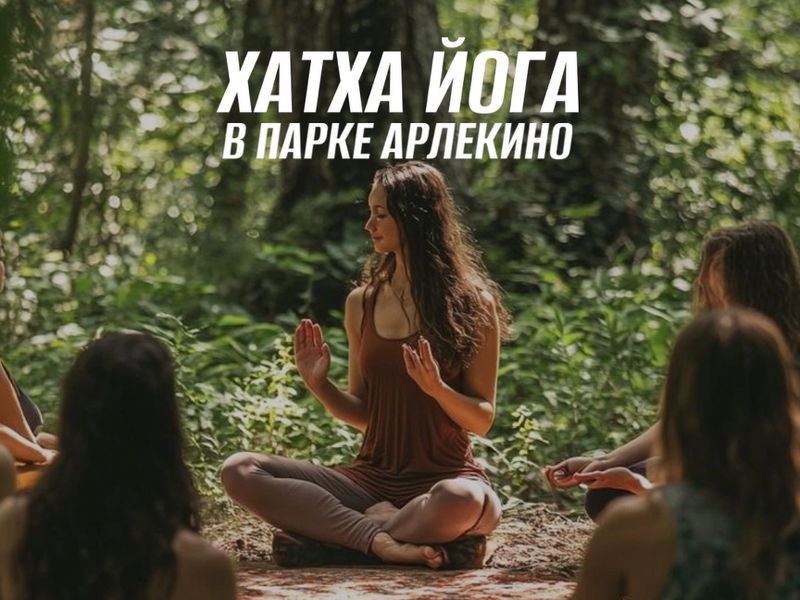 Хатха йога в парке