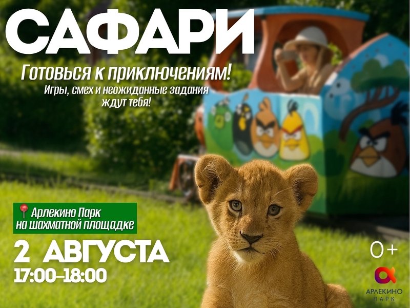 СТАЯ ПРИКЛЮЧЕНИЙ ВЫШЛА НА ОХОТУ