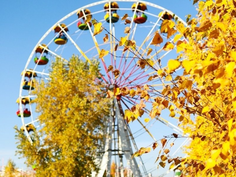 В парке Арлекино золотая осень 🍂🎡