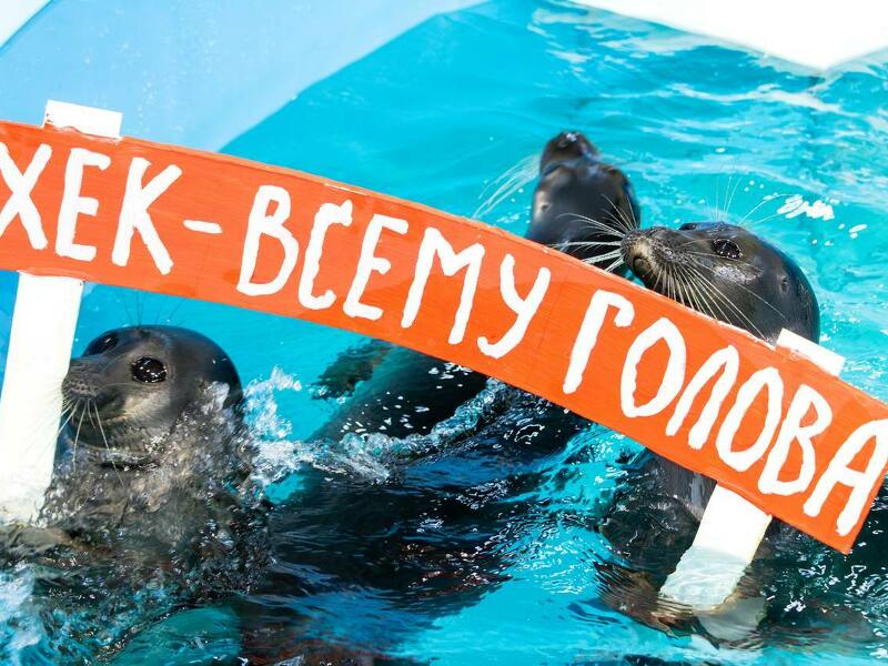 Выходные в «Арлекино»