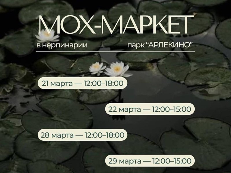 Серия маркетов в Нерпинарии