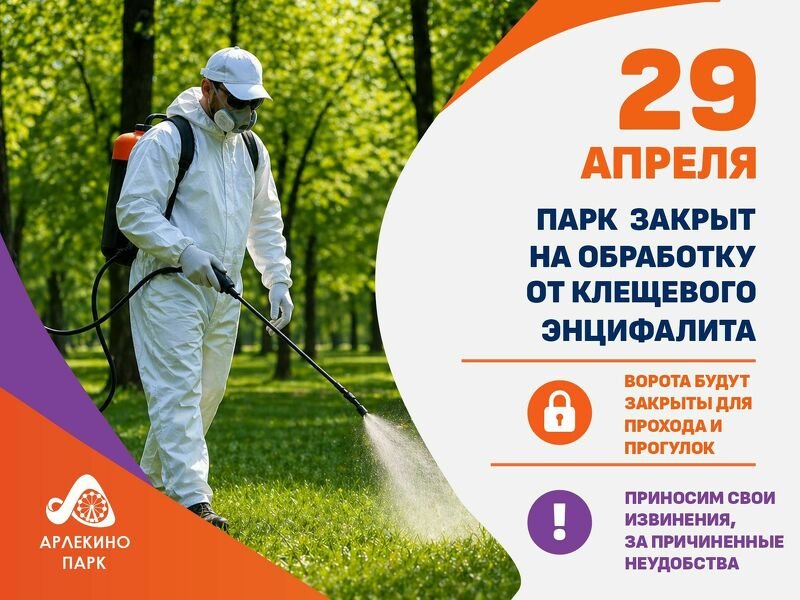 Уважаемые посетители!