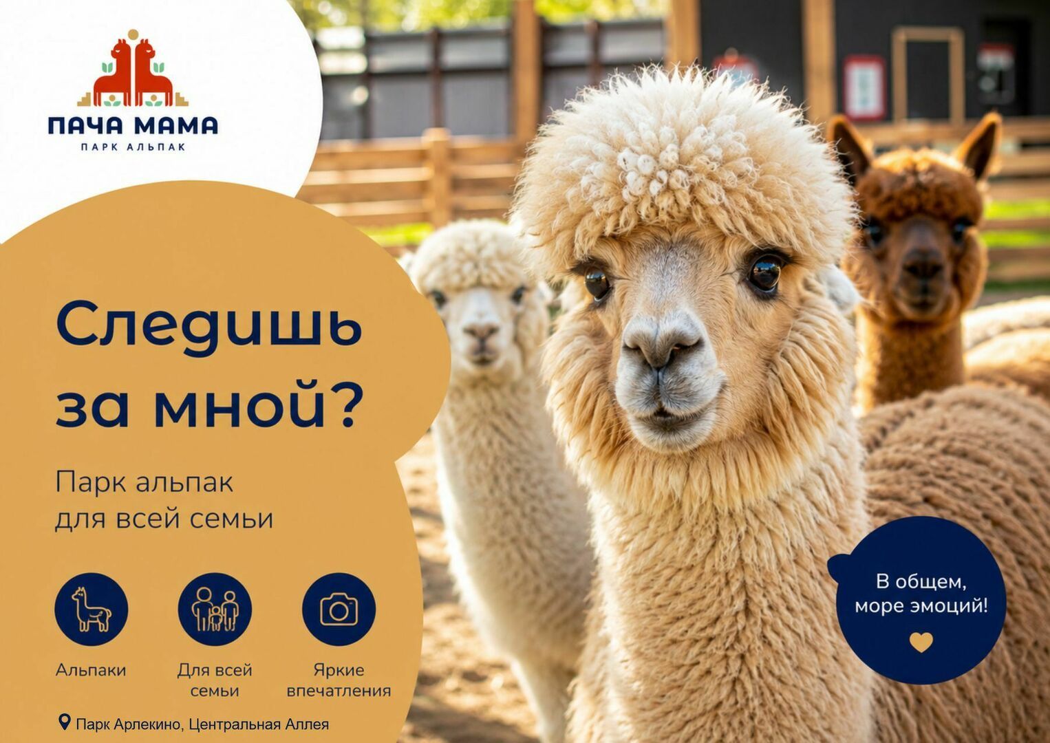 park-alpak-pacha-mama-1.jpg