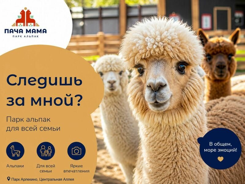 ПАРК АЛЬПАК «ПАЧА МАМА» В БАРНАУЛЕ
